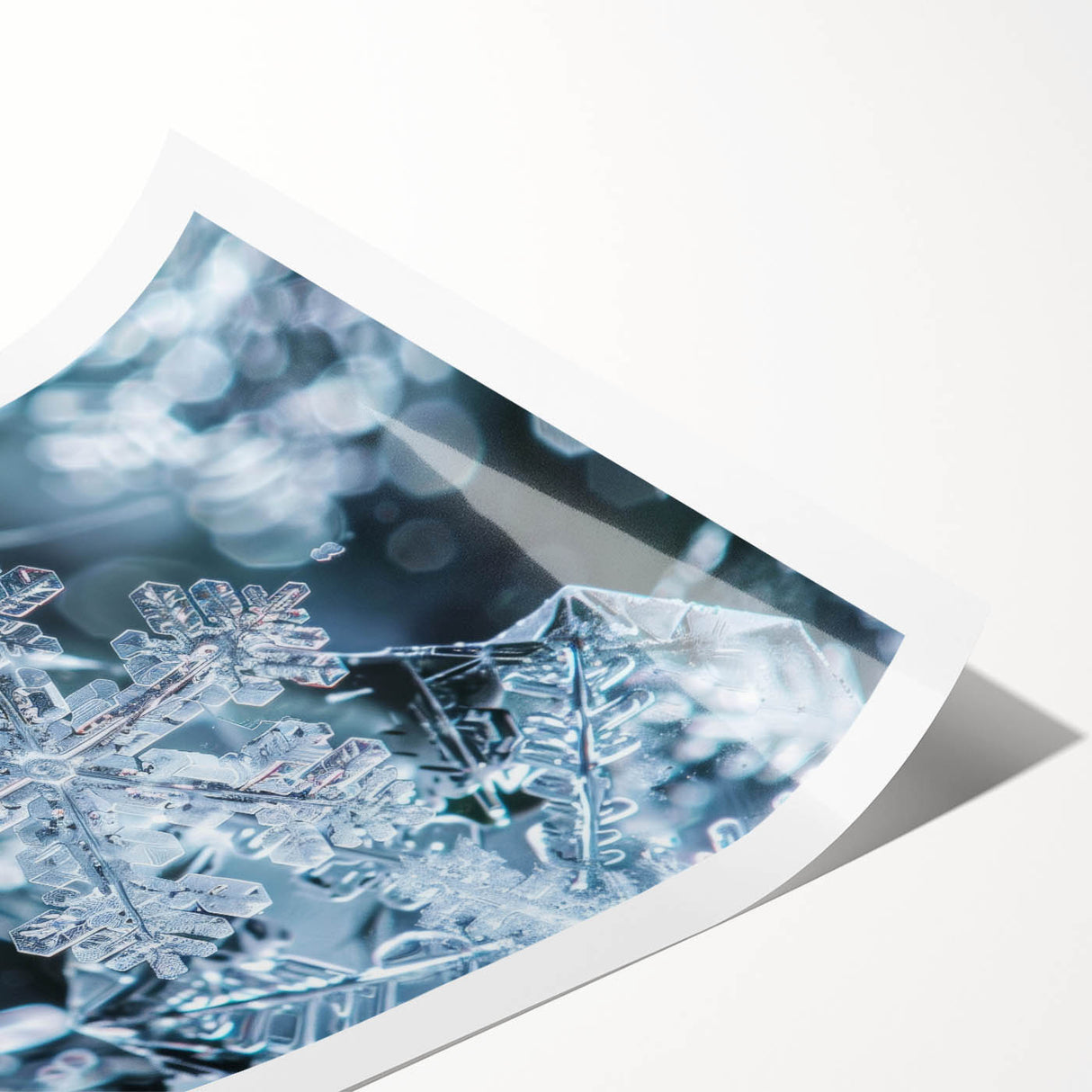 Extra large rolled print featuring line art flowers with frost design in muted blue tones.