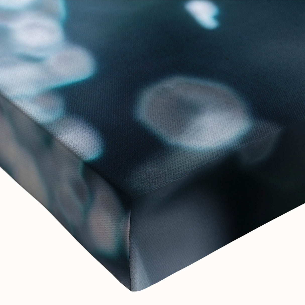 Close-up of frost patterns in black and white on stretched canvas, suitable for bedroom wall art.