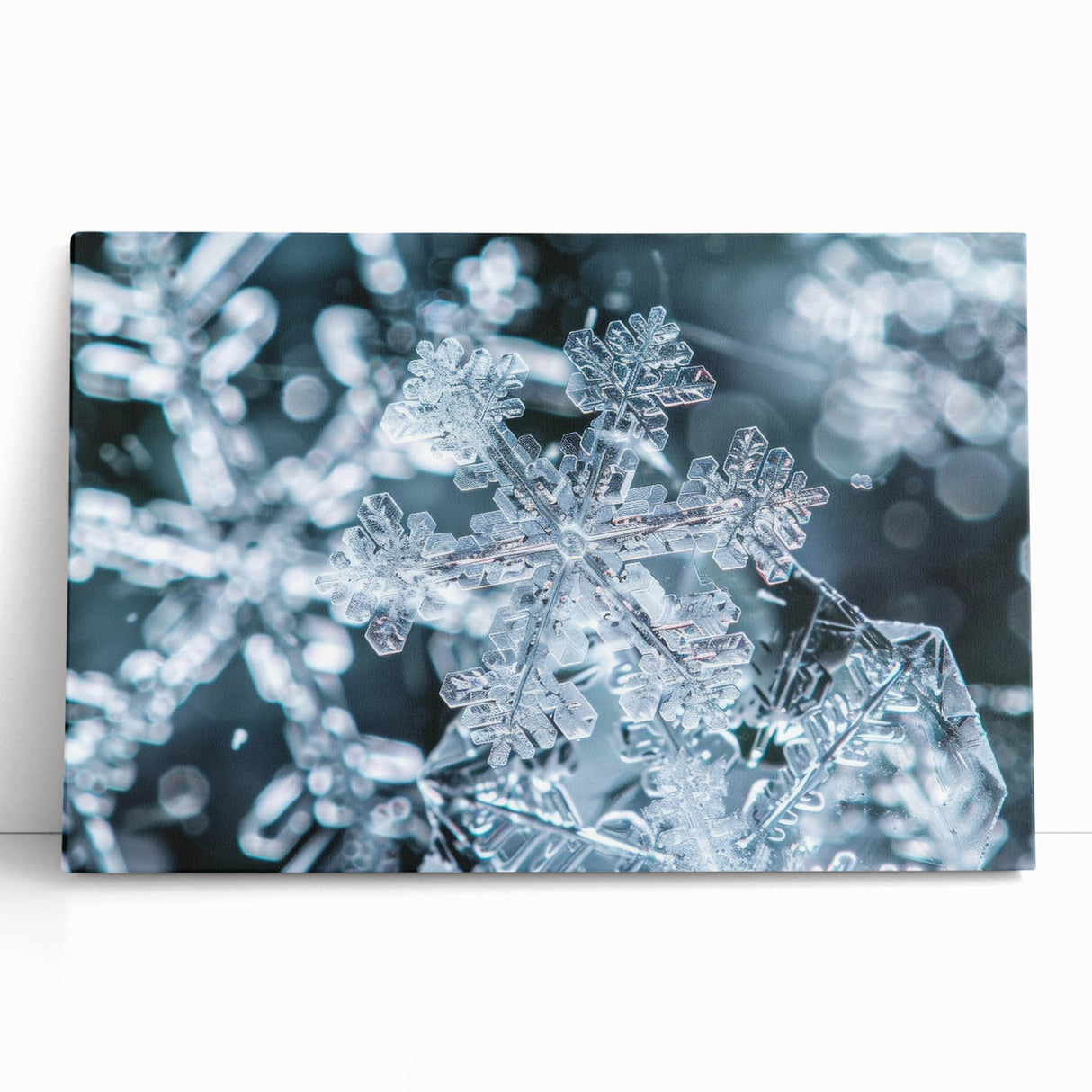 Black and white close-up image of frost patterns on a stretched canvas, suitable as kitchen wall art or for bedroom ambiance.