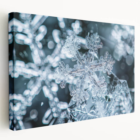 Close-up image of frost patterns on ice in muted blue and white tones on a large stretched canvas.