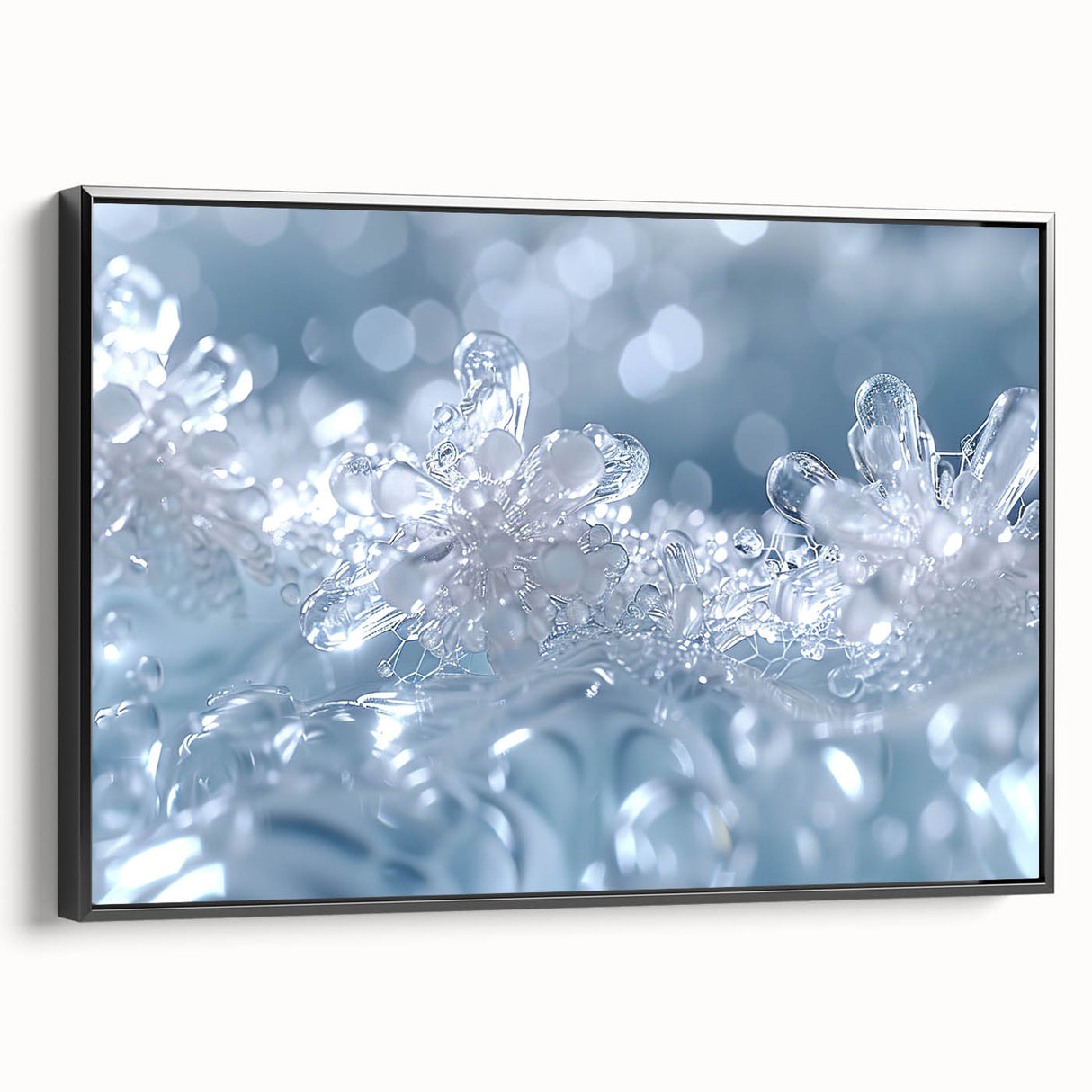 Black and white framed canvas featuring a close-up of frost patterns, ideal for bedroom wall decor.