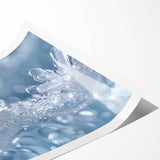 Extra large wall art of line art flowers in frost design on rolled print, ideal for large living room wall decor.