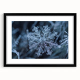 Abstract art print featuring textured, colorful frost patterns, in a black frame with mat, ideal for living room decor.