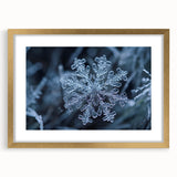 Textured art depicting abstract frost patterns in icy blue and white tones, presented in a gold frame with mat.
