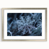 Abstract art print depicting frost patterns in muted gray and blue tones, framed in silver.