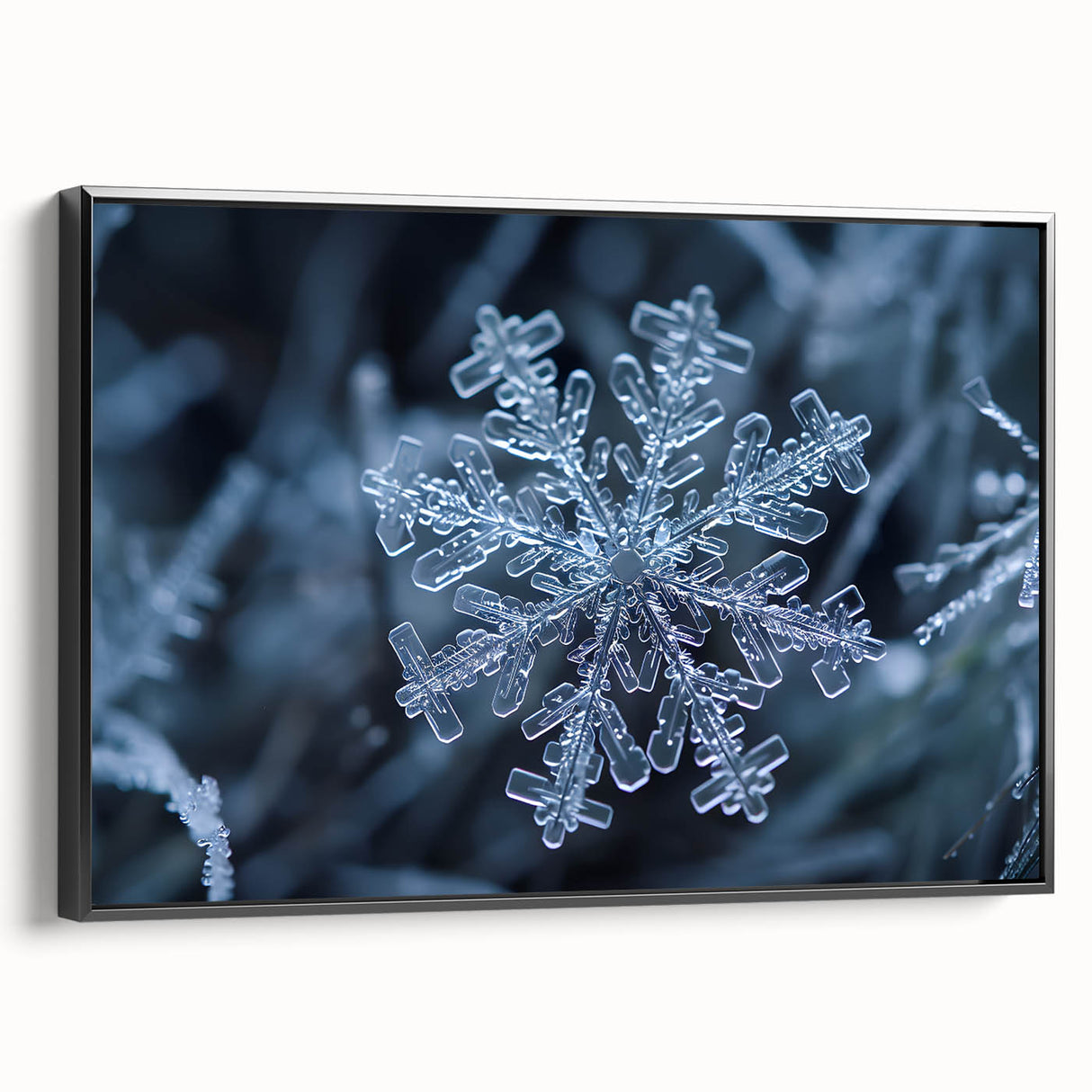 Black and white framed canvas featuring a close-up of frost patterns, ideal for bedroom wall art.