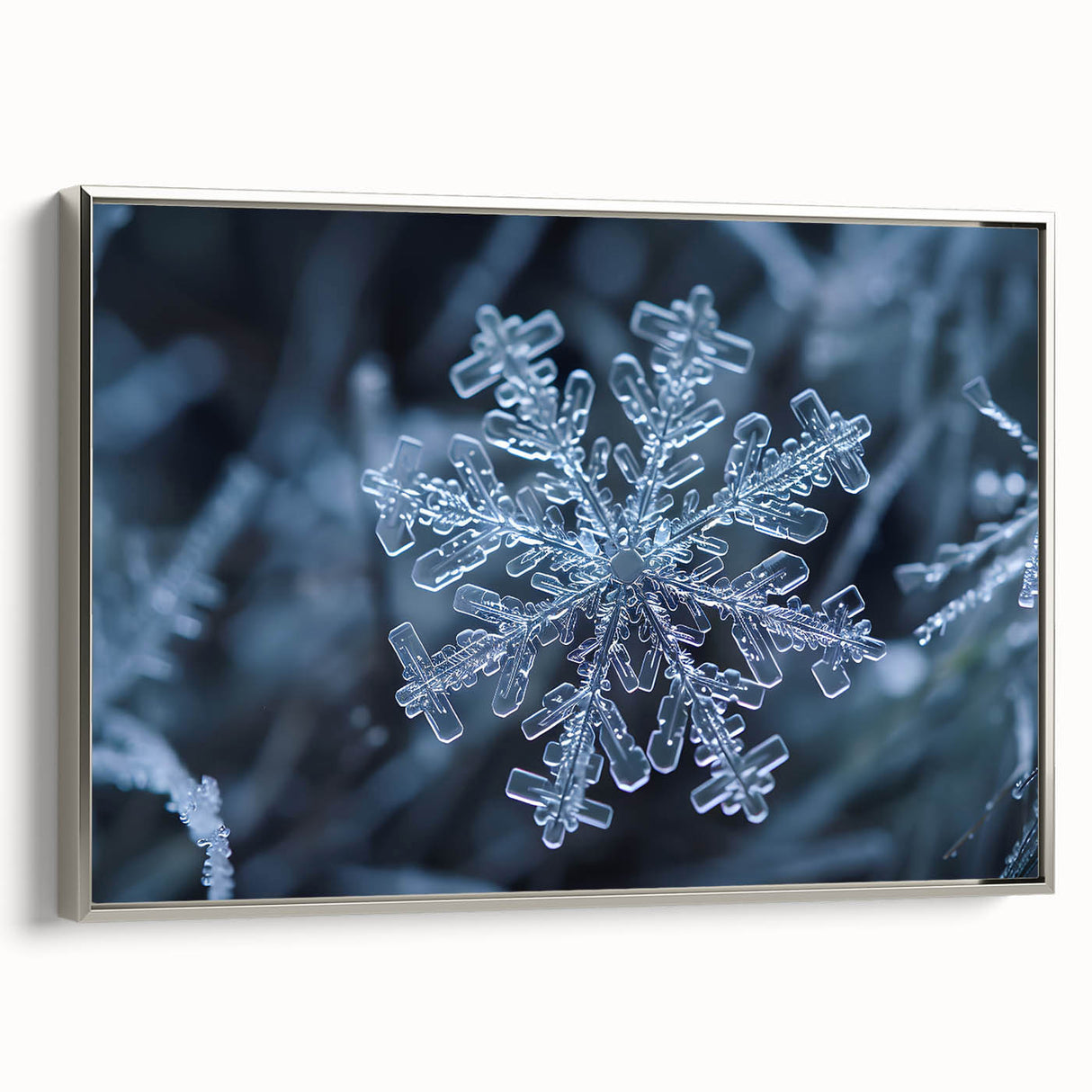 Vintage poster art featuring a close-up of frost patterns in blue and silver tones on a framed canvas.