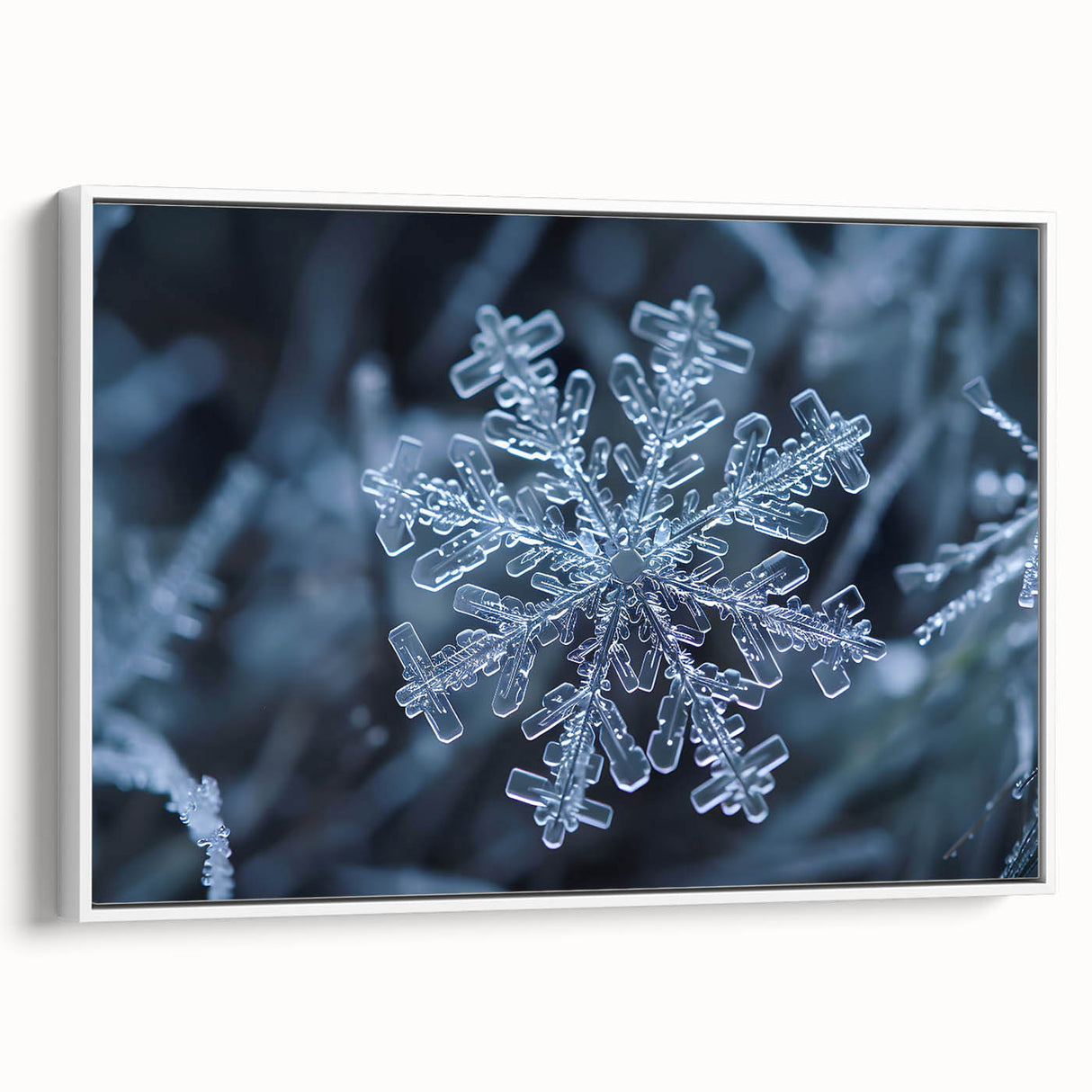 Framed canvas depicting a close-up of frost patterns in grayscale, suitable as wall art for bedroom.