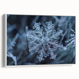 Framed canvas depicting a close-up of frost patterns in grayscale, suitable as wall art for bedroom.