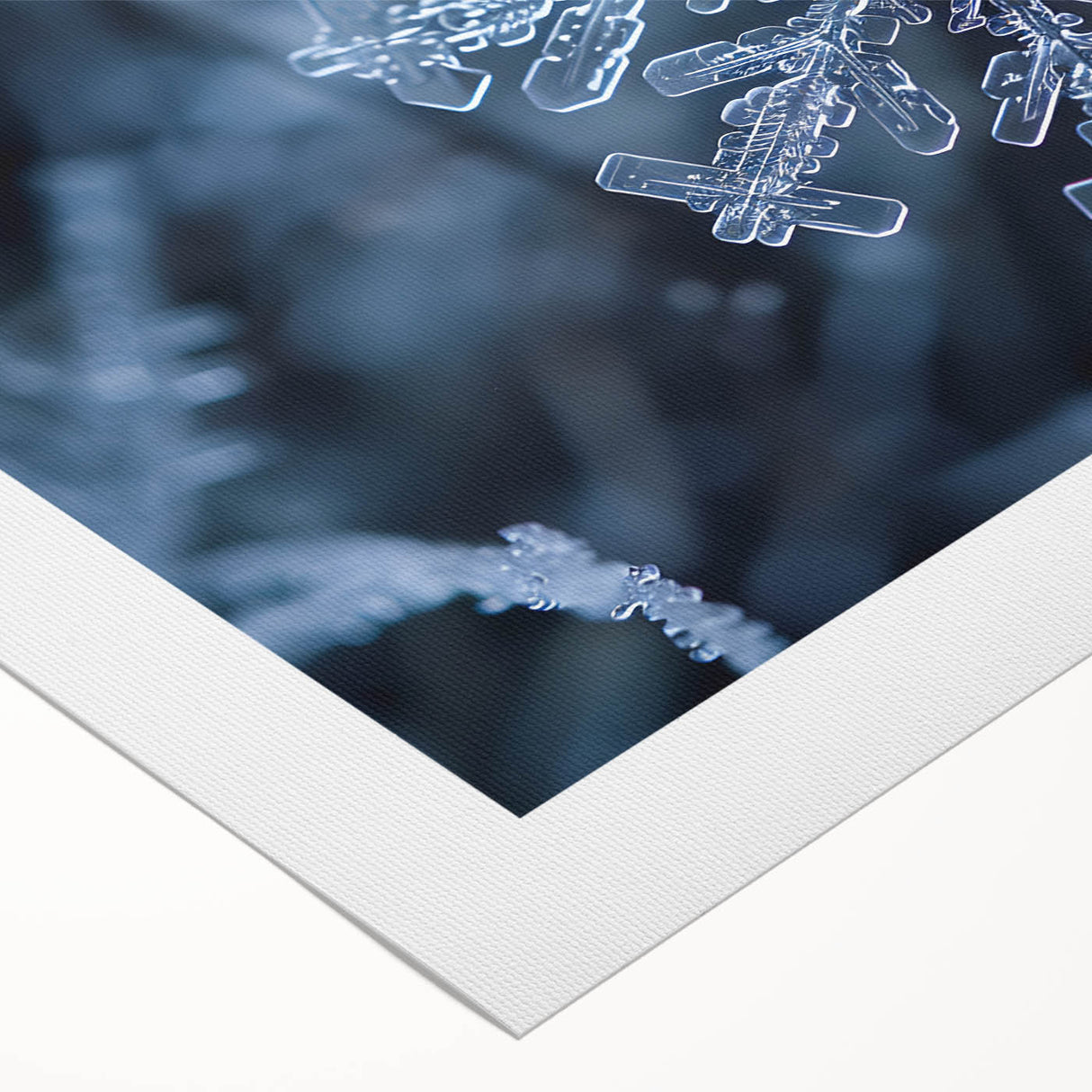 Art deco poster featuring a close-up of frost patterns in gray and white on rolled canvas, ideal for dining room wall art.