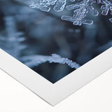 Art deco poster featuring a close-up of frost patterns in gray and white on rolled canvas, ideal for dining room wall art.