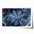 Close-up image of frost patterns on ice in muted blue and white tones, printed on rolled canvas.