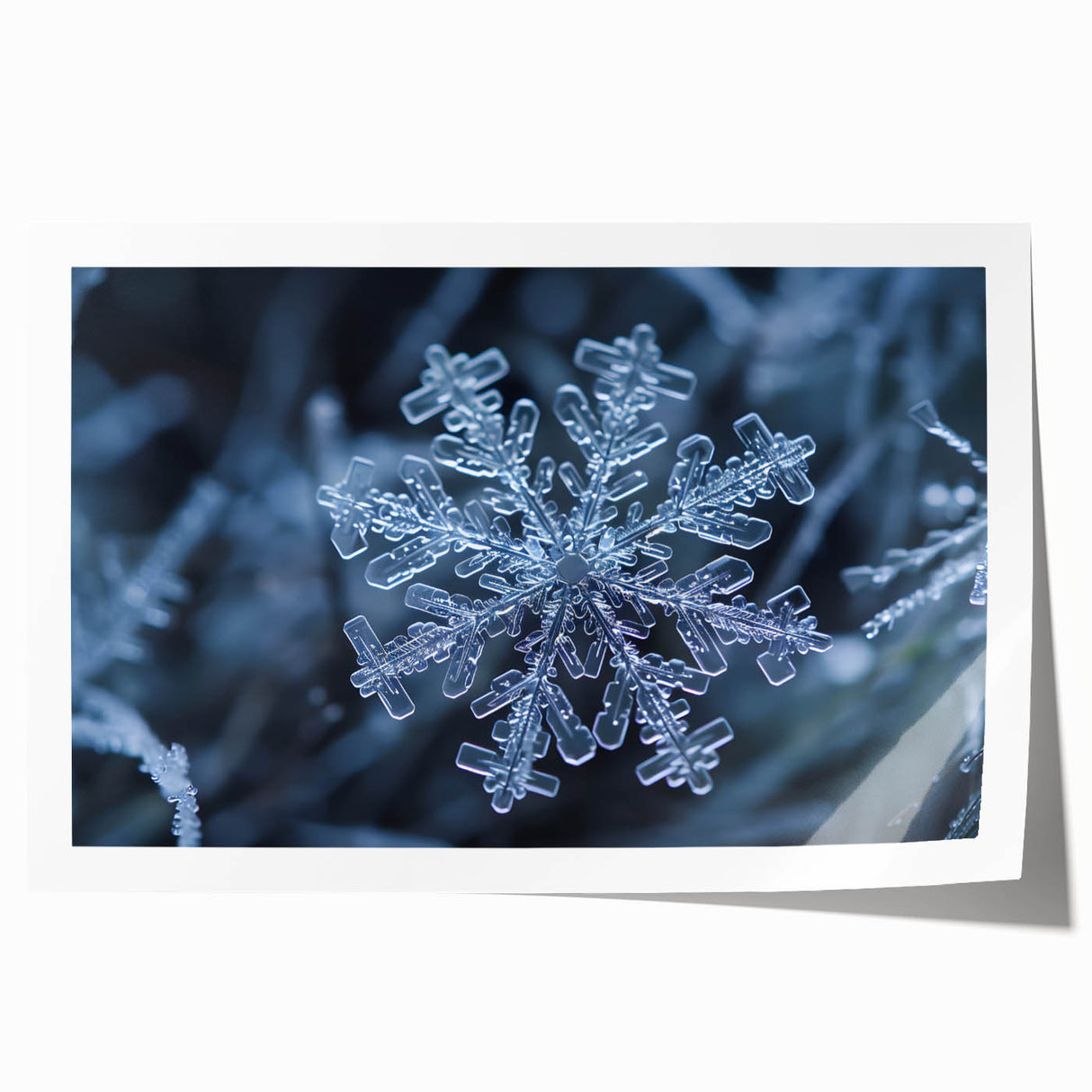 Close-up image of frost patterns on ice in muted blue and white tones, printed on rolled canvas.