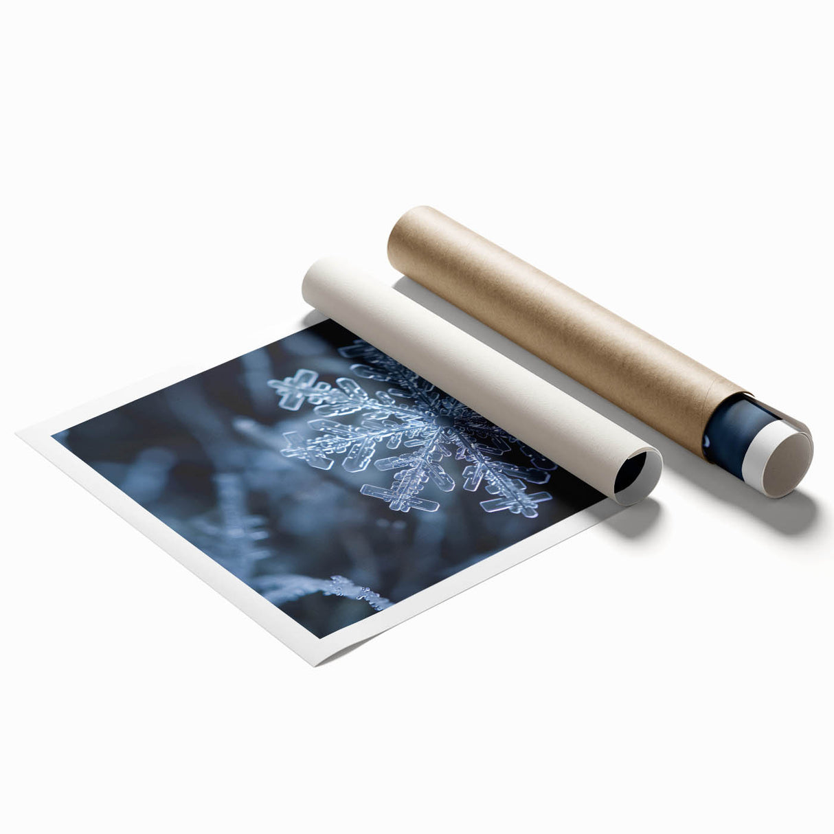 Close-up frost design on a rolled print, featuring intricate ice patterns in blue and white.