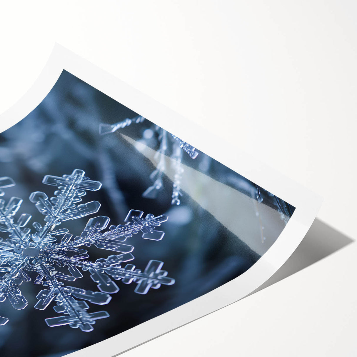 Extra large wall art featuring detailed line art flowers with frost designs in muted blue tones.