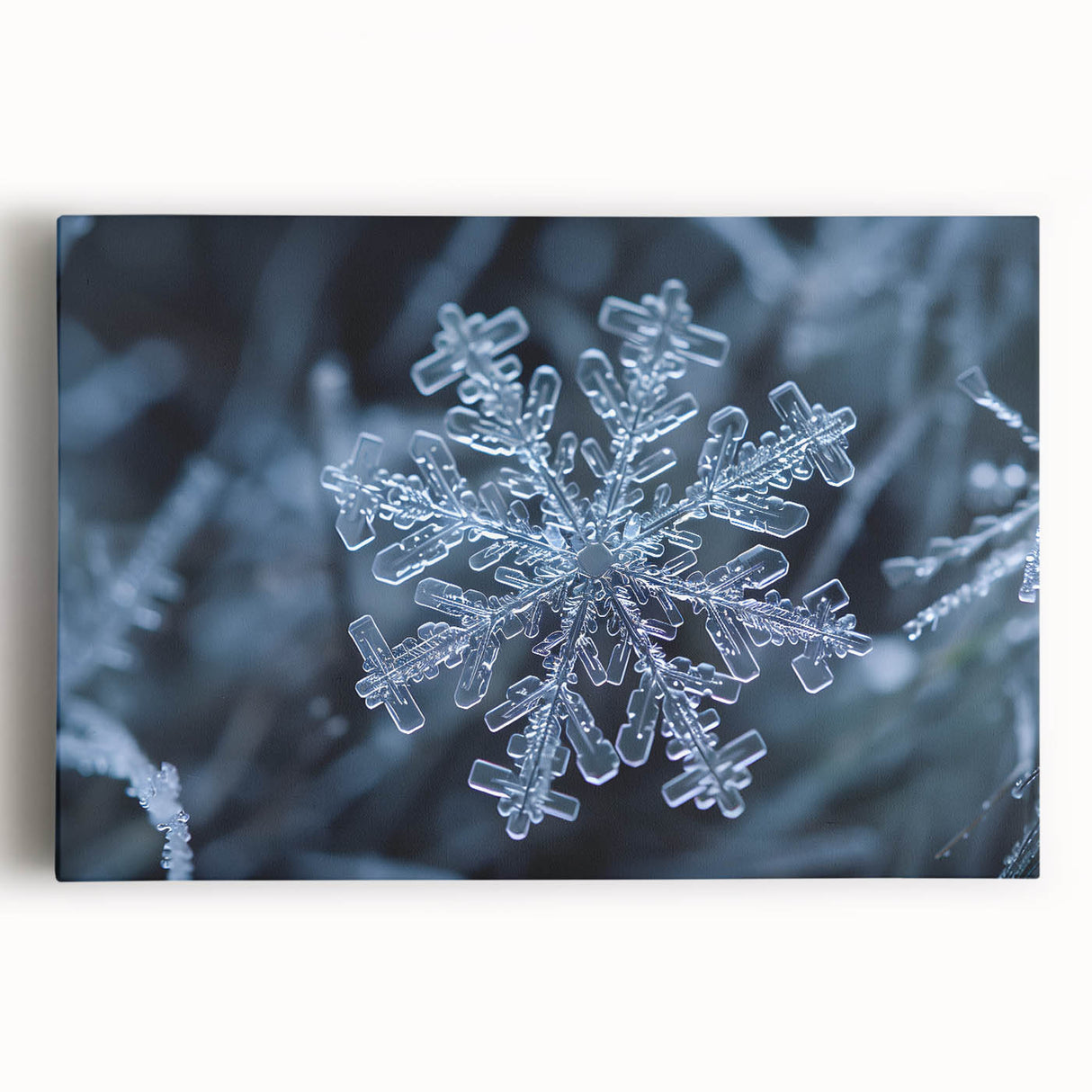 Black and white close-up of frost patterns on ice, printed on large stretched canvas, suitable for kitchen wall art.
