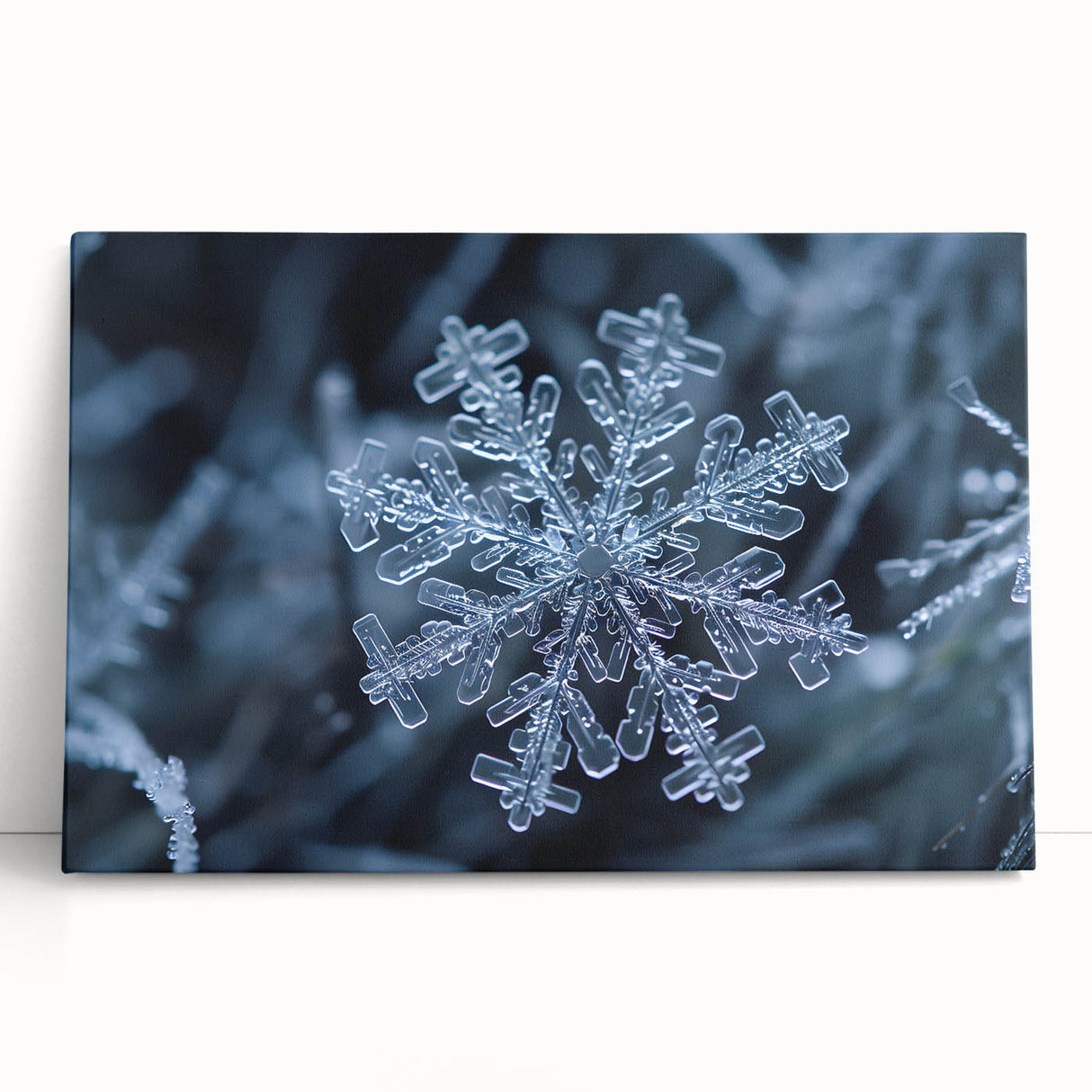 Black and white close-up photo of frost patterns on canvas, ideal for kitchen wall art or bedroom ambiance.
