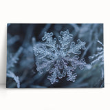 Black and white close-up photo of frost patterns on canvas, ideal for kitchen wall art or bedroom ambiance.