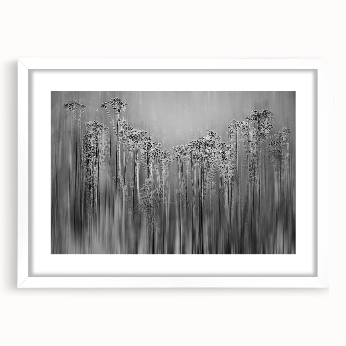 Extra large abstract art print featuring a textured frost design in muted white and gray tones, framed with a white mat.