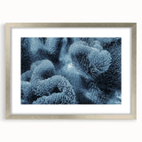 Abstract art print of a frost design in muted blue and white tones on a framed silver mat.