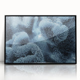 Large abstract wall art featuring a frost design in muted gray tones, framed in black acrylic.