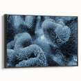 Black and white framed canvas featuring a close-up of frost patterns, ideal for bedroom wall art.
