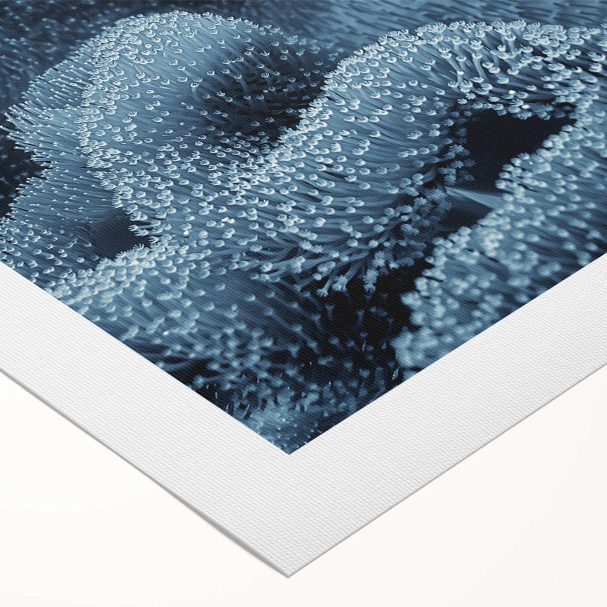 Art deco poster featuring a close-up of frost patterns on ice, rendered in cool blue and white tones.