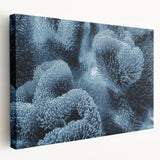 Close-up image of frost patterns on ice, rendered in muted gray and blue tones on a stretched canvas.
