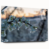 Close-up of frost patterns on glass in muted blue and white tones, acrylic print, suitable for dining room decor.