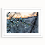 Extra large framed abstract art print depicting frost patterns in muted blue and white tones, ideal for living room decor.