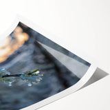 Extra large wall art featuring close-up line art of frost patterns on flowers, in cool blue tones.