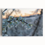 Close-up of frost patterns in black and white on a large stretched canvas, ideal for kitchen wall art.