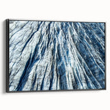 Black and white wall art featuring a close-up view of frost patterns on ice, printed on framed canvas.