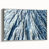 Framed canvas of a vintage poster art featuring a close-up frost design in black and silver, ideal for living room decor.