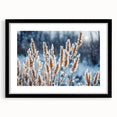 Extra large abstract art print featuring a colorful, textured frost design on a black framed canvas.