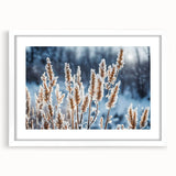 Extra large abstract art print featuring a textured frost design in cool blue tones, framed with a white mat.