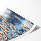 Extra large wall art featuring line art flowers in frost design on a rolled print, ideal for large living room decor.