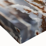 Black and white close-up of frost patterns on ice, printed on large stretched canvas, suitable for bedroom wall decor.