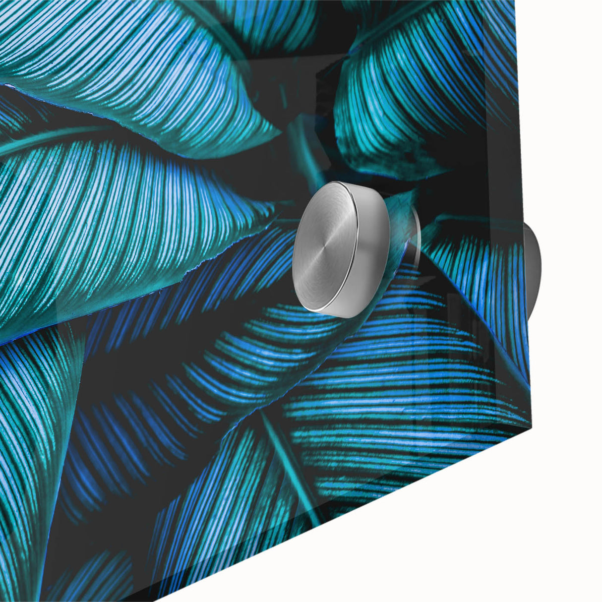 Large abstract wall art featuring close-up leaves in muted green tones on acrylic glass, suited for dining room decor.