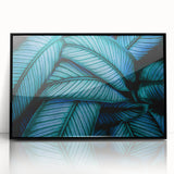 Framed acrylic print featuring a close-up of leaves in muted green tones, ideal for modern art wall decor.