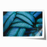 Close-up of green leaves, printed on rolled canvas, suited for art wall dining room or classy bathroom.