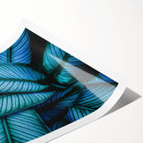 Extra large wall art featuring line art flowers in black on white, rolled print, suitable for large living room spaces.