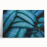 Close-up of leaves in black and white on a stretched canvas, ideal for kitchen wall art.