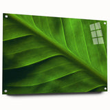 Close-up of green leaves in abstract design on acrylic glass, ideal for dining room or bedroom wall art.