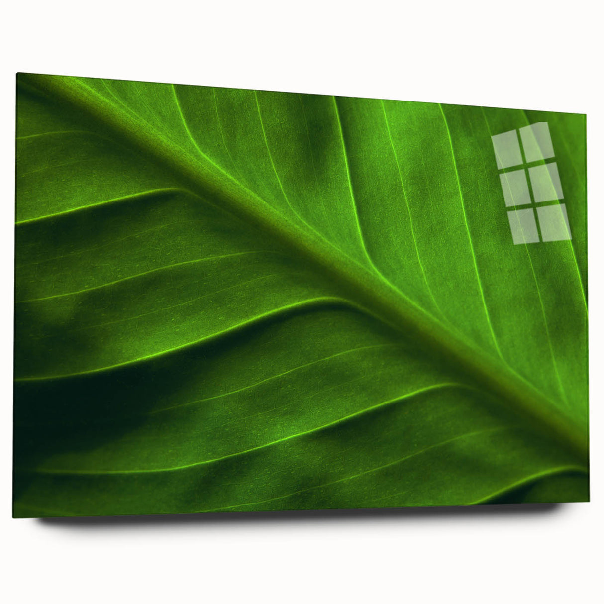 Close-up of green leaves in an abstract design on acrylic glass.