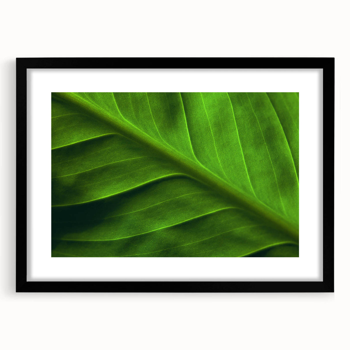 Extra large, textured abstract art print of colorful leaves, framed in black, ideal for living room decor.