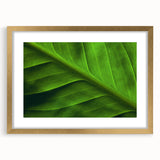 Extra large wall art for living room featuring a close-up of leaves design in textured gold, framed with a mat.