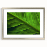 Textured art print of abstract leaves in green and brown hues, framed in silver, ideal for bedroom decor.