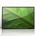 Large abstract wall art featuring close-up leaves in green and yellow tones, framed in black acrylic.