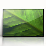 Large abstract wall art featuring close-up leaves in green and yellow tones, framed in black acrylic.